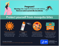 Pregnant Protect yourself from mosquito bites
