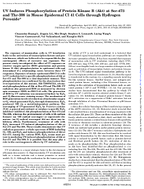 UV Induces Phosphorylation of Protein Kinase B Akt at Ser473 and Thr308 in Mouse Epidermal C1 41 Cells Through Hydrogen Peroxide