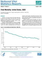 Fetal Mortality United States 2020