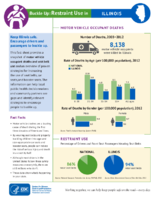 Buckle Up Restraint Use in Illinois December 2014