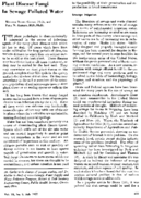 Plant disease fungi in sewage polluted water