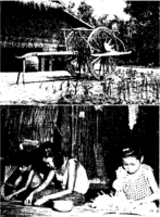 Public Health Rep v 73 no 8  Masthead