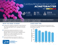 CDCs 2019 Antibiotic Resistance Threats Report Carbapenemresistant Acinetobacter