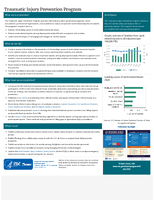 Traumatic Injury Prevention Program