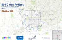 500 Cities Project Local Data for Better Health 2016 Olathe KS