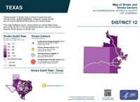 TX Congressional District 12 Stroke and Stroke Centers Map 119th Congress
