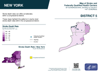 NY Congressional District 05 Stroke and Federally Qualified Health Centers Map 119th Congress