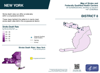 NY Congressional District 08 Stroke and Federally Qualified Health Centers Map 119th Congress