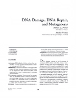 DNA Damage DNA Repair and Mutagenesis