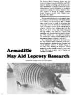 Armadillo may aid leprosy research