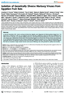 Isolation of Genetically Diverse Marburg Viruses from Egyptian Fruit Bats