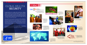 Global health security  2010s