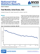 Fetal Mortality United States 2022