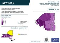 NY Congressional District 21 Stroke and Federally Qualified Health Centers Map 119th Congress