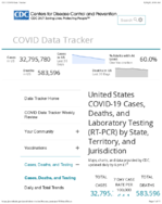 United States COVID19 cases deaths and laboratory testing RTPCR by state territory and jurisdiction US COVID19 7Day Case Rate per 100000 by StateTerritory February 17 2021