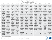 10 Leading Causes of Injury Deaths by Age Group  2020 Both sexes All ages All races