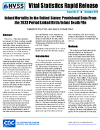 Infant Mortality in the United States Provisional Data From the 2023 Period Linked BirthInfant Death File