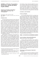 Inhibition of Nuclear Transcription FactorkB by Specific IkB Kinase Peptide Inhibitor
