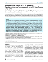 Multifunctional Role of Bcl2 in Malignant Transformation and Tumorigenesis of CrVITransformed Lung Cells