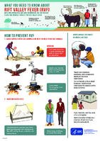 What you need to know about Rift Valley Fever RVF