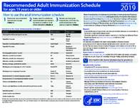 Recommended adult immunization schedule for ages 19 years or older United States 2019