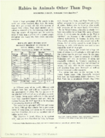 Rabies in animals other than dogs