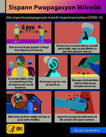 Sispann Pwopagasyon Jem