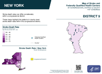 NY Congressional District 09 Stroke and Federally Qualified Health Centers Map 119th Congress