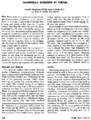 Salmonella excretion by turtles