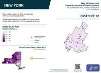 NY Congressional District 12 Stroke and Federally Qualified Health Centers Map 119th Congress