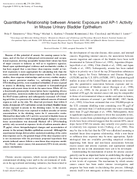 Quantitative Relationship Between Arsenic Exposure and AP1 Activity in Mouse Urinary Bladder Epithelium