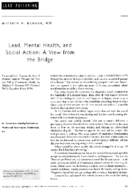 Lead mental health and social action a view from the bridge