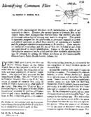 Identifying common flies