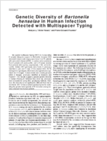 Genetic Diversity of Bartonella henselae in Human Infection Detected with Multispacer Typing