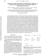 Activation of AP1 Through the MAP Kinase Pathway A Potential Mechanism of the Carcinogenic Effect of Arenediazonium Ions