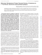 Molecular Mechanism of Tumor Necrosis FactorAlpha Production in 13BGlucan ZymosanActivated Macrophages