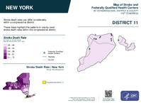 NY Congressional District 11 Stroke and Federally Qualified Health Centers Map 119th Congress