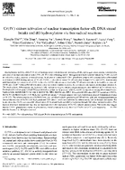 CrIV Causes Activation of Nuclear Transcription FactorKappa B DNA Strand Breaks and dG Hydroxylation via Free Radical Reactions