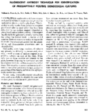 Fluroescent antibody technique for identification of presumptively positive gonococcal cultures
