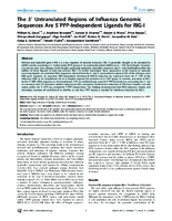 The 3 Untranslated Regions of Influenza Genomic Sequences Are 5PPPIndependent Ligands for RIGI
