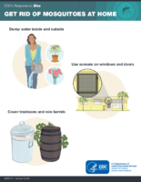 Get Rid of Mosquitoes at Home November 14 2016