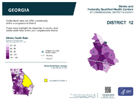 GA Congressional District 12 Stroke and Federally Qualified Health Centers Map 118th Congress
