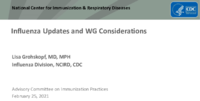 Influenza updates and WG considerations