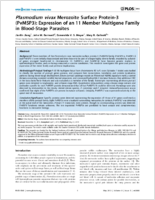 Plasmodium vivax Merozoite Surface Protein3 PvMSP3 Expression of an 11 Member Multigene Family in BloodStage Parasites