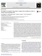 The impact of oil spill to lung health  insights from an RNAseq study of human airway epithelial cells