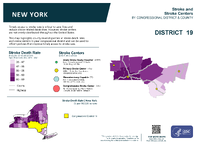 NY Congressional District 19 Stroke and Stroke Centers Map 118th Congress