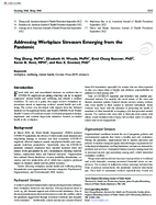 Addressing Workplace Stressors Emerging from the Pandemic