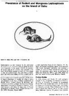 Prevalence of rodent and mongoose leptospirosis on the Island of Oahu