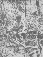 Public Health Report  v 71 no 1  frontispiece