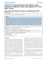 A NonVH169 Heterosubtypic Neutralizing Human Monoclonal Antibody Protects Mice against H1N1 and H5N1 Viruses